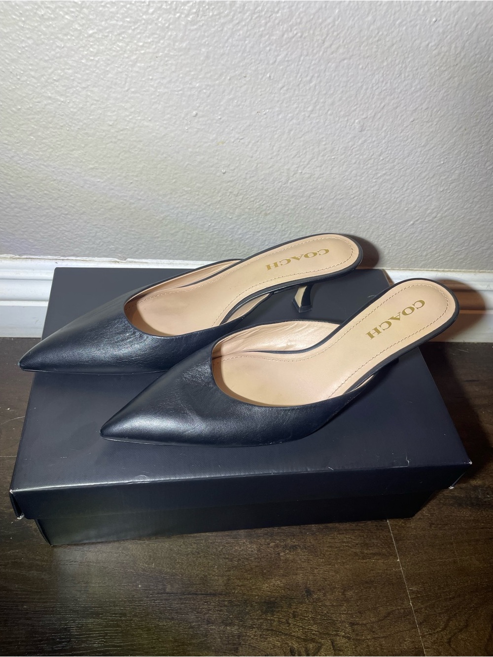 Coach Black Leather Pointed Mule Slides